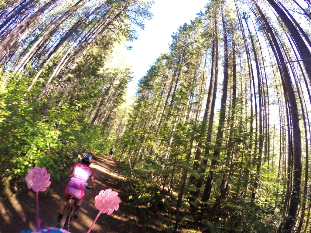 Fernie mtb