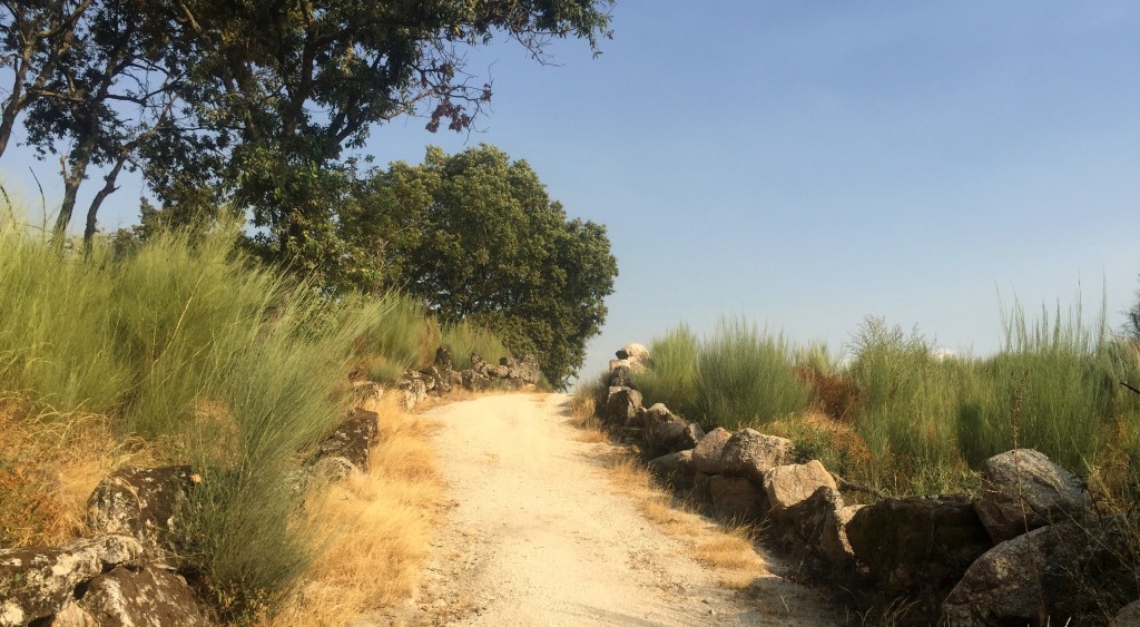 serra do marão