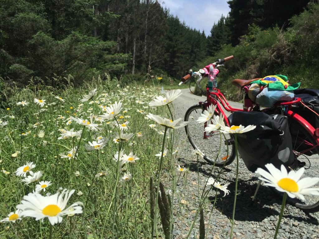 flowers and bike