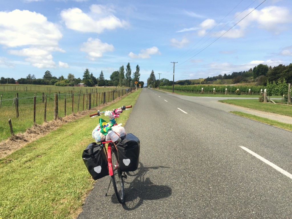 bike Nelson