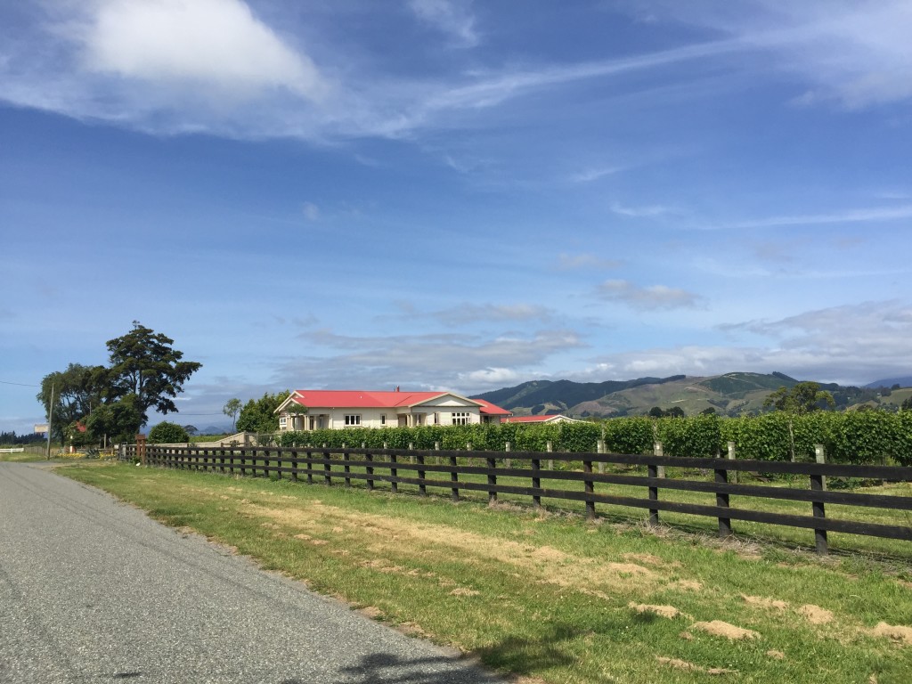 Nelson wines