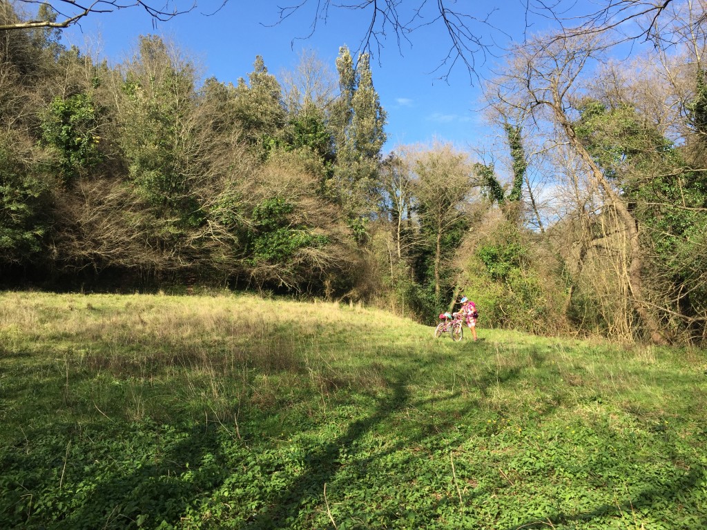 campo verde mtb